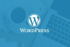 دلایل استفاده از وردپرس