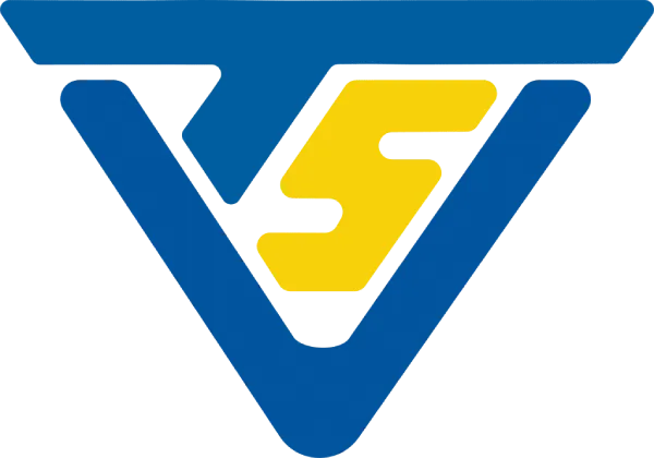 لوگو تی اس ویژن